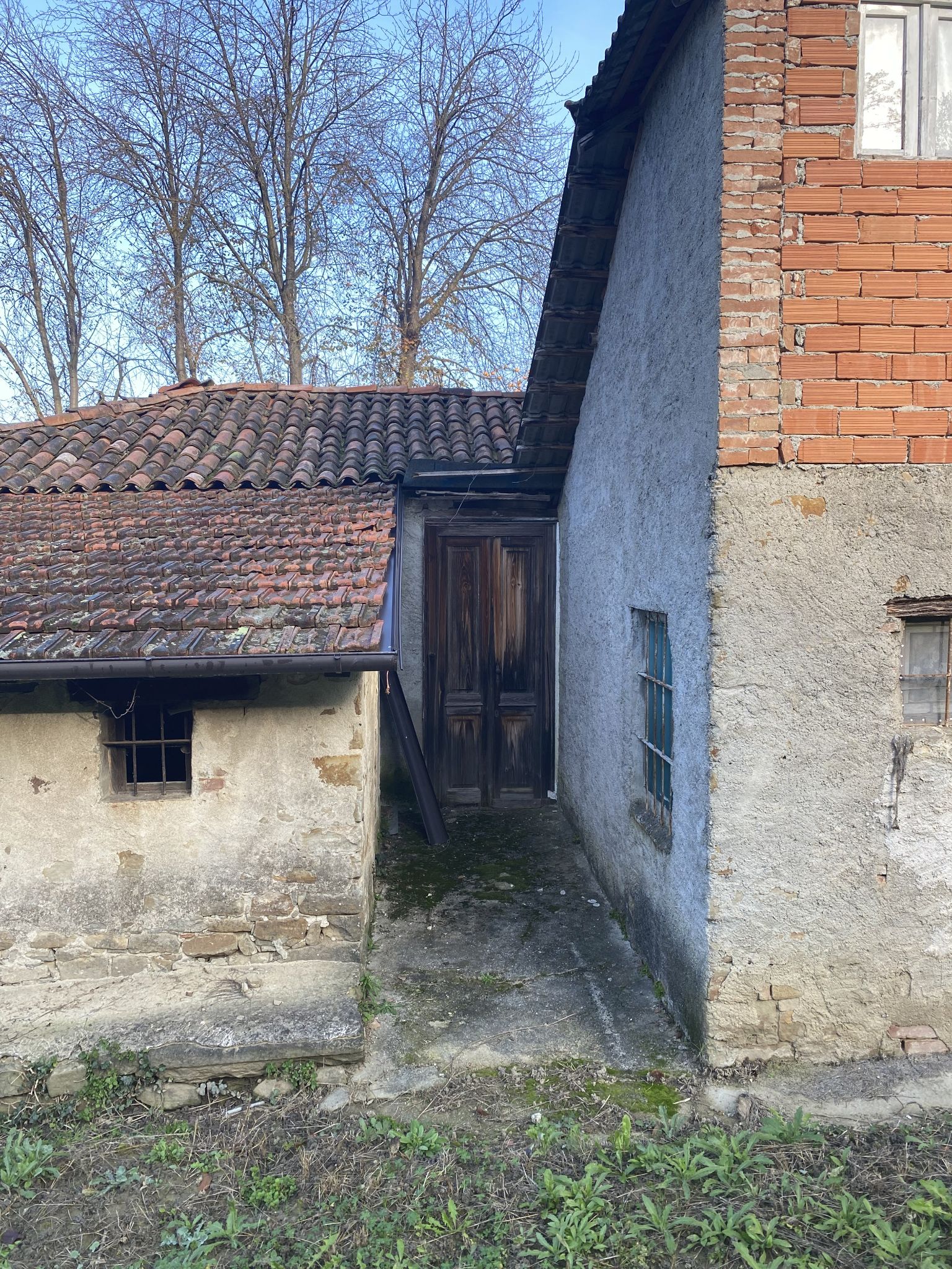 010 achterkant huis met mooie deur